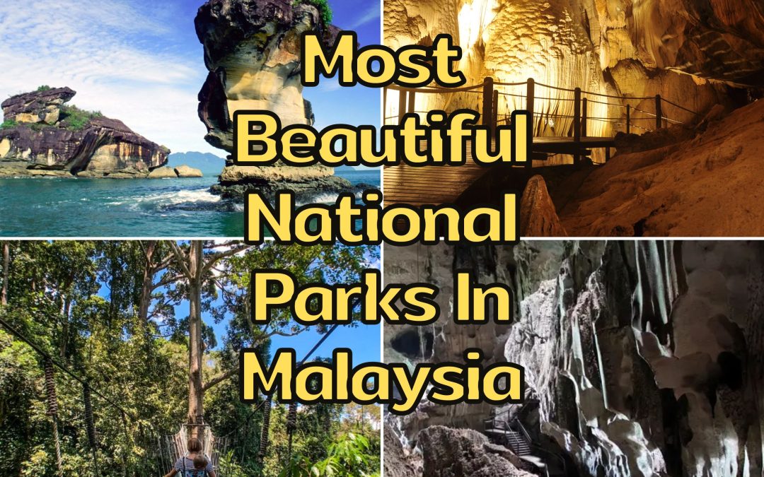5 Most Beautiful National Parks In Malaysia: Enjoy The Nature
