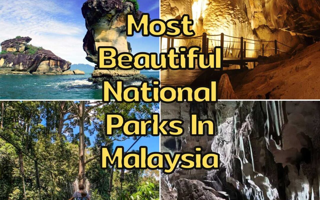 5 Most Beautiful National Parks In Malaysia: Enjoy The Nature