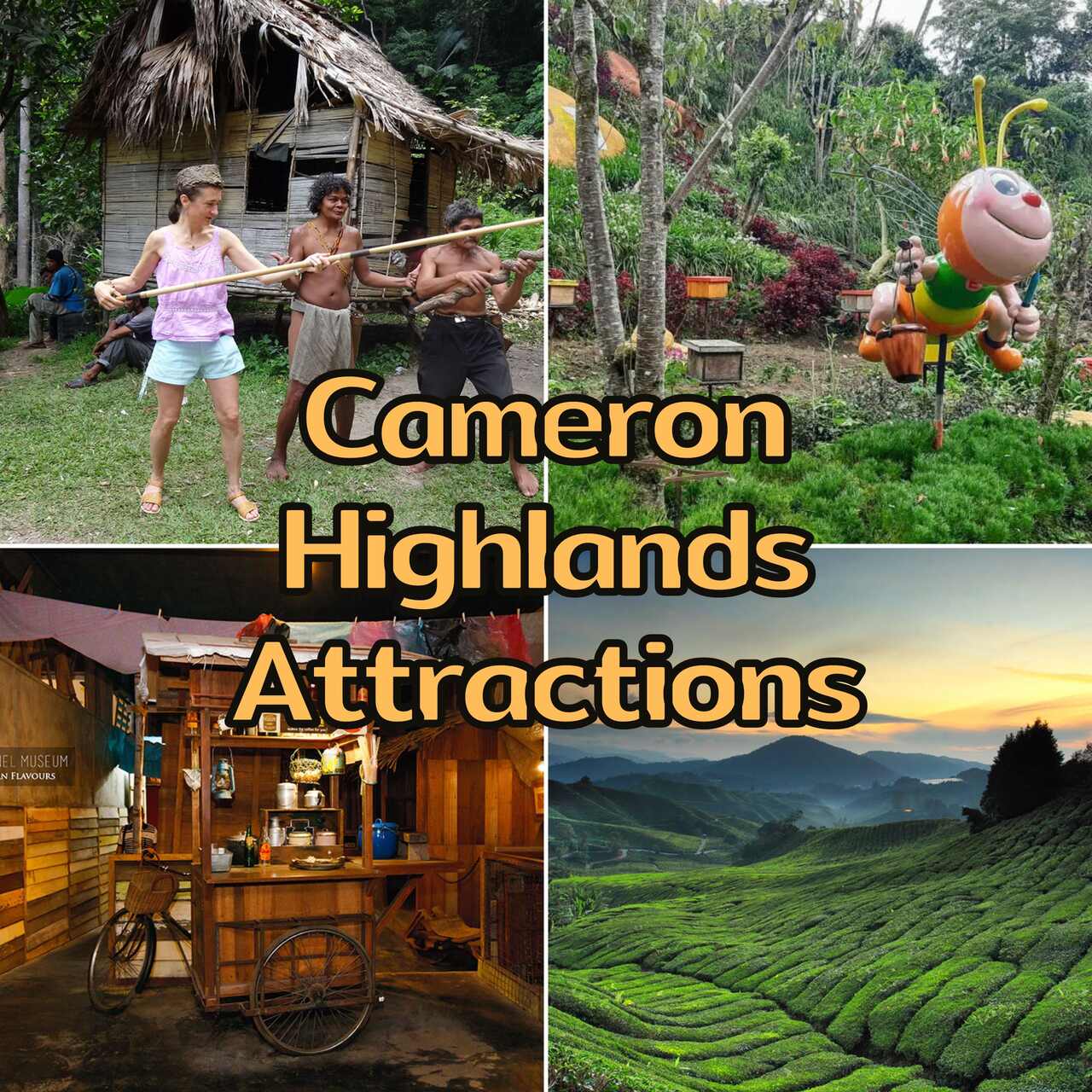 Cameron Highlands Attractions