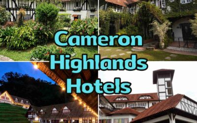 Cameron Highlands Accommodation: 5 Top Picks For An Exclusive Stay