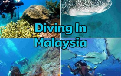 Diving In Malaysia: 6 Best Spot To Explore The Underwater