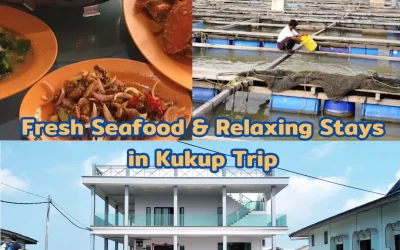 Private Transport from Singapore to Kukup: Discover Coastal Charm & Fresh Seafood (Effortless Escapes)